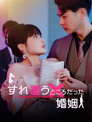 すれ違うところだった婚姻